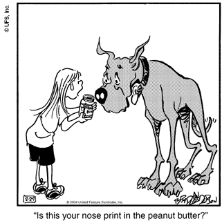 marmaduke